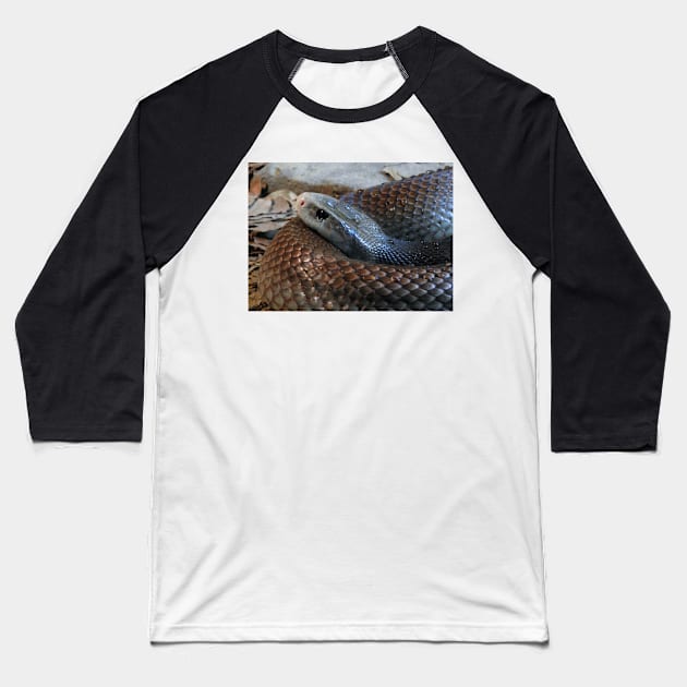 Coastal Taipan Baseball T-Shirt by kirstybush